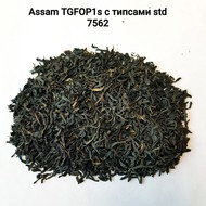 Nilgiri TGFOP