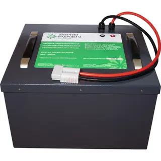   LiFePo4 36 200  